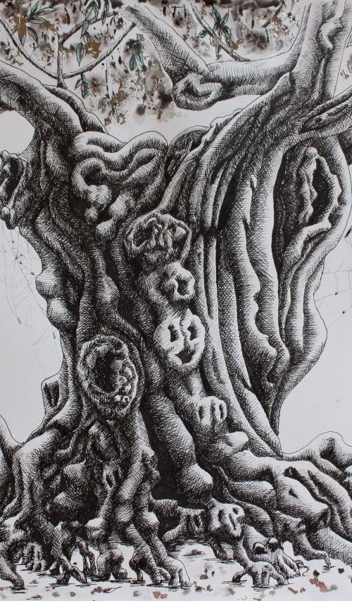 Spooky Olive Tree by Jadu Sheridan