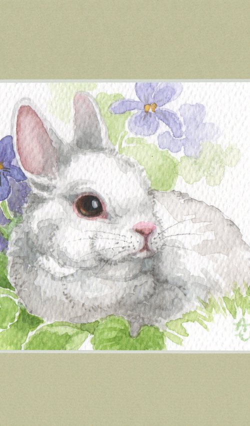 Spring is coming - Bunny by Jolanta Czarnecka