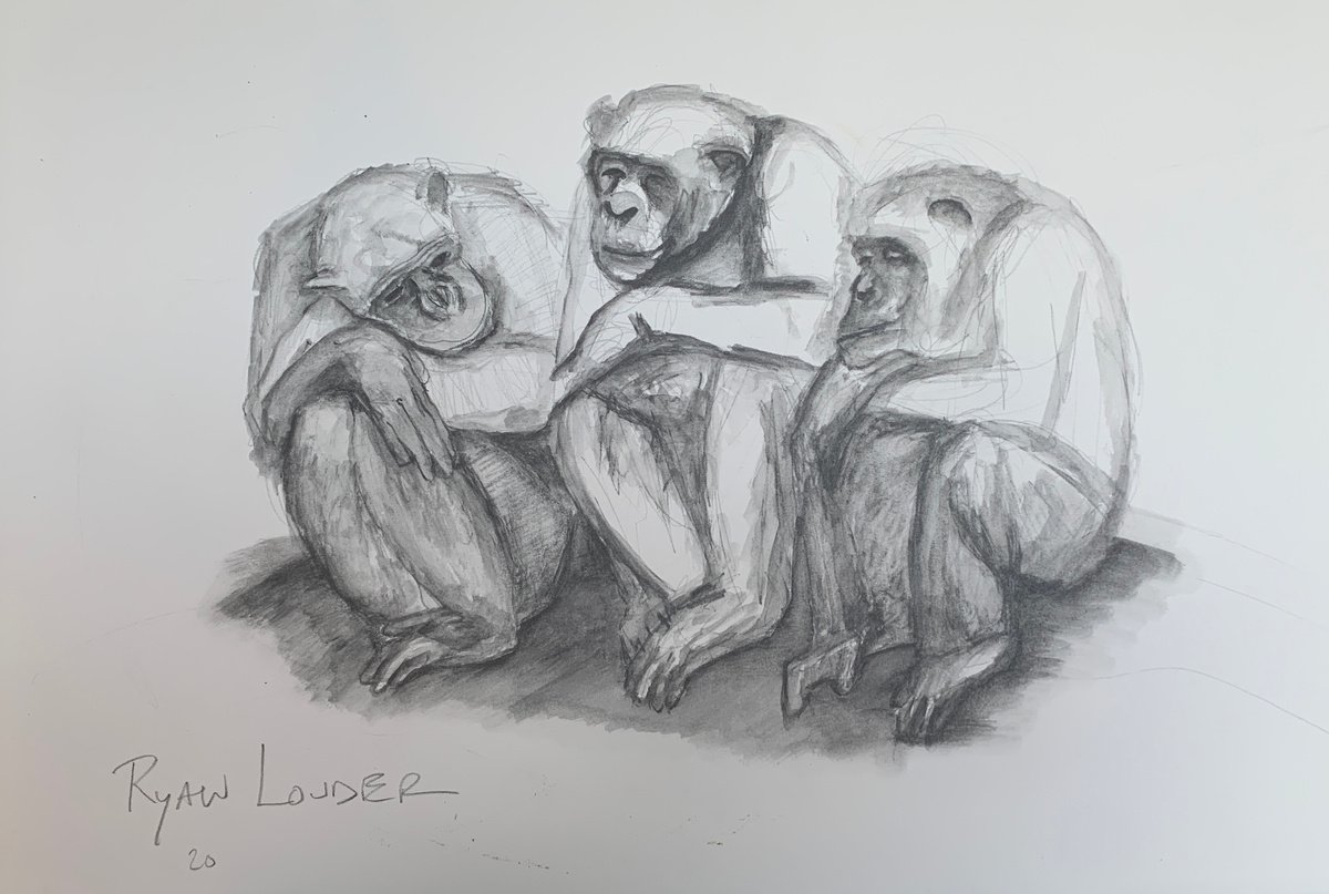Three Chimpanzees 14x18 Wildlife Artwork by Ryan Louder