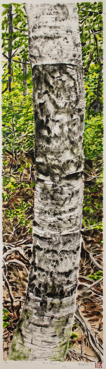 Birch Trunk #1 by Michael E. Voss