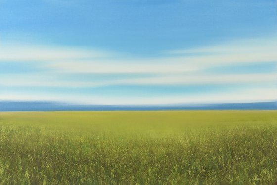 Green Field - Blue Sky Landscape