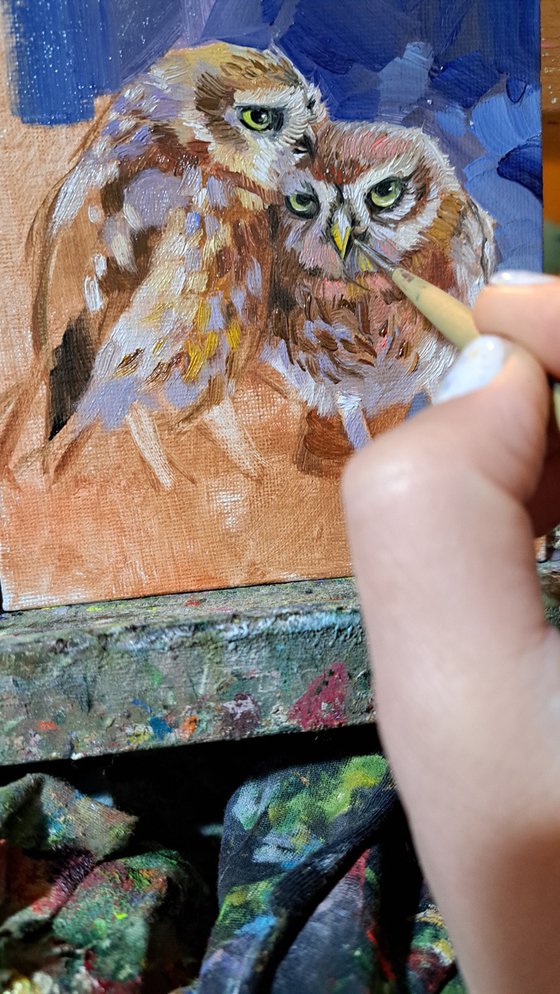 Owl birds painting