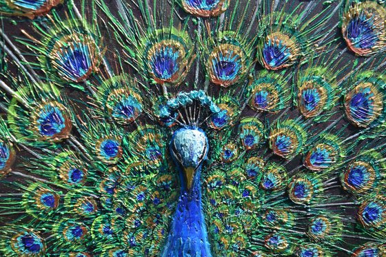 Peacock