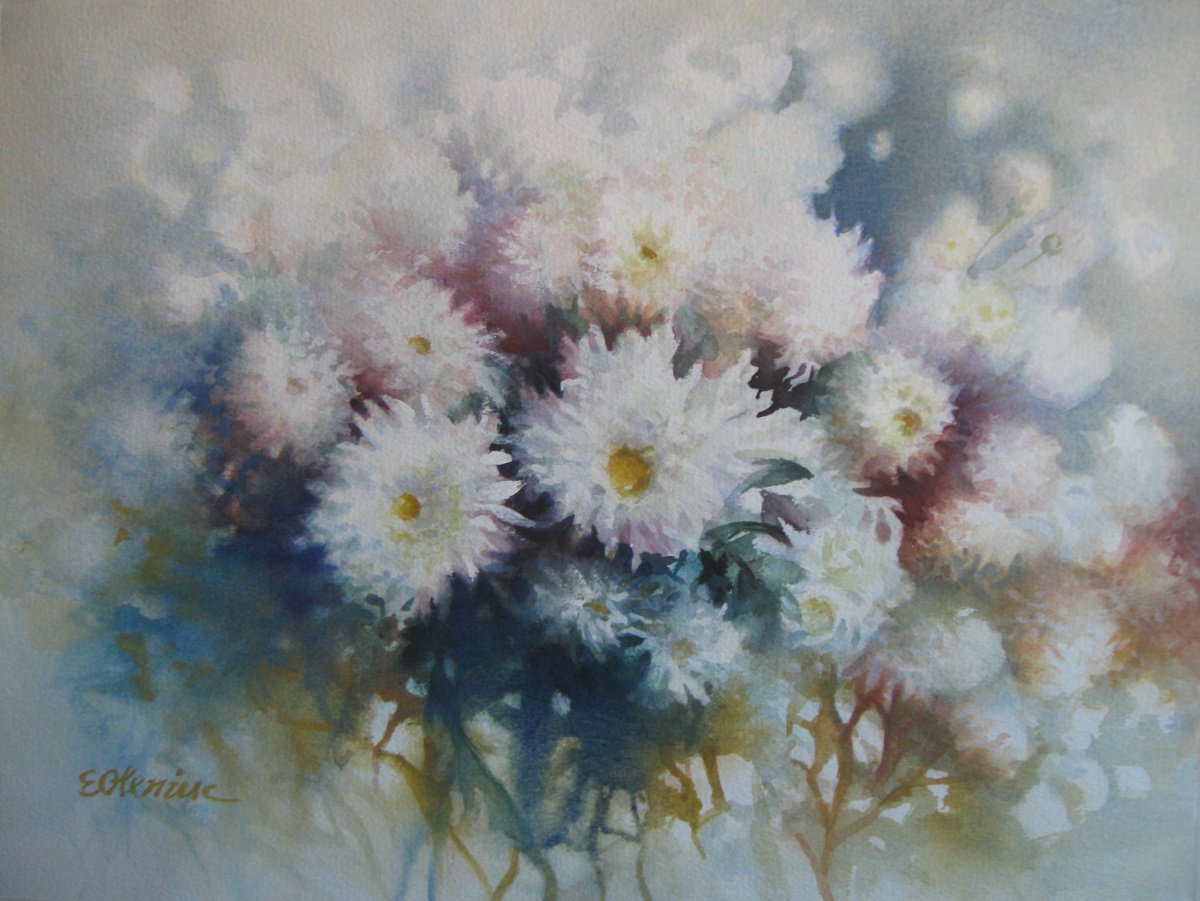 Chrysanthemum flowers by Elena Oleniuc