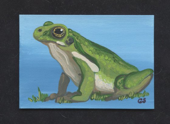 ACEO ATC Original Painting Green Frog Wildlife Art-Carla Smale