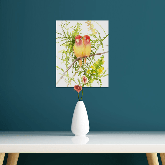 Yellow Lovebirds