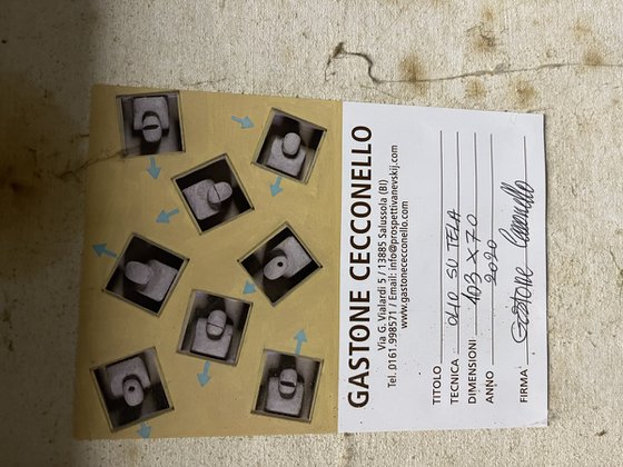 Segnaletica (Field of Signs)