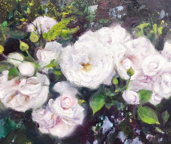 White Roses in Garten