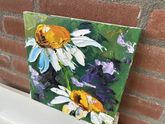 Two daisies