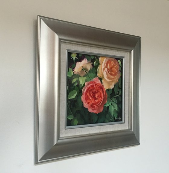 Rose Beauty  (framed)