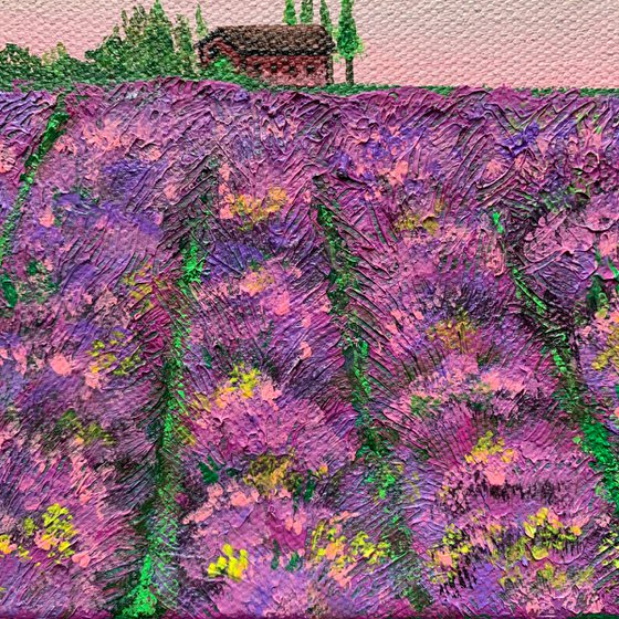 Lavender fields ! Small Painting!!  Ready to hang