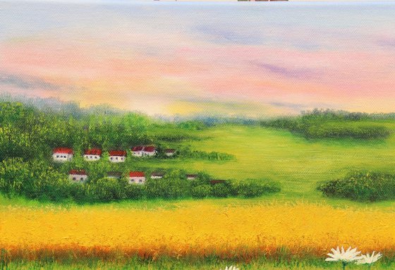 Daisy meadow landscape