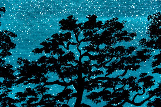 Silent Japan night sky