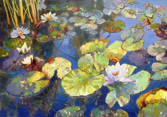 Water Lilies