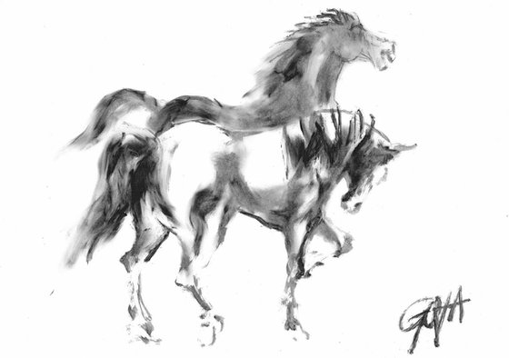 HORSES