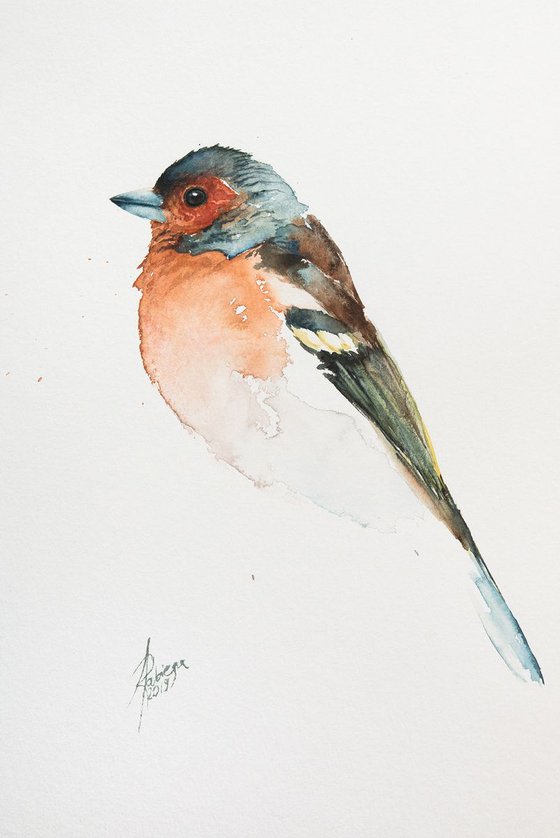 Chaffinch