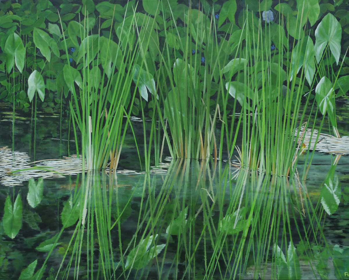 Water, Reeds, Reflection By Steven Fleit, 30 X 24, Artwork For Sale On Artfinder