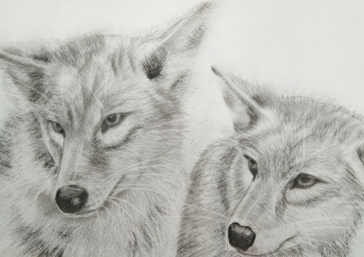 ?ouple of wolves by Yulia Berseneva