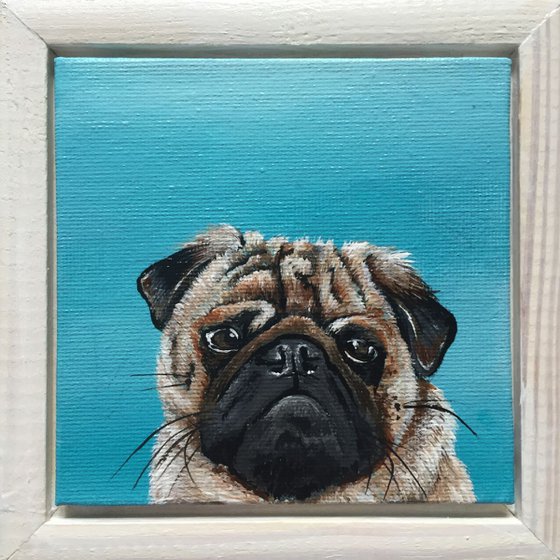 Pug on turquoise (miniature)