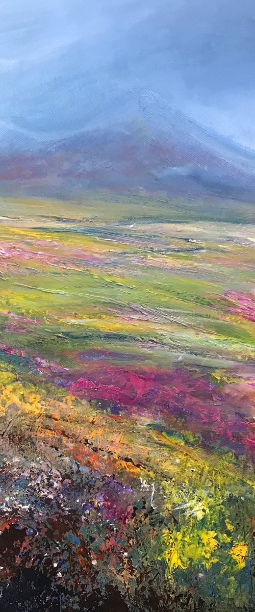 Dartmoor Colours by Laure Bury