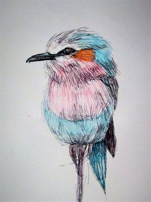 bird by Nektaria G