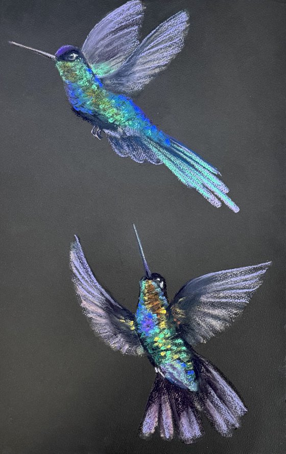 Colibri Flowers Diptych Pastel