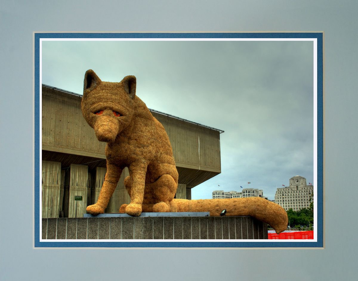 Fox in London Town by Robin Clarke