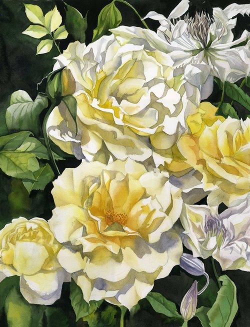 spring floral roses with clematis by Alfred  Ng