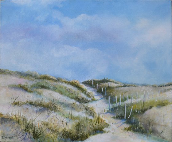 The little path in the dunes