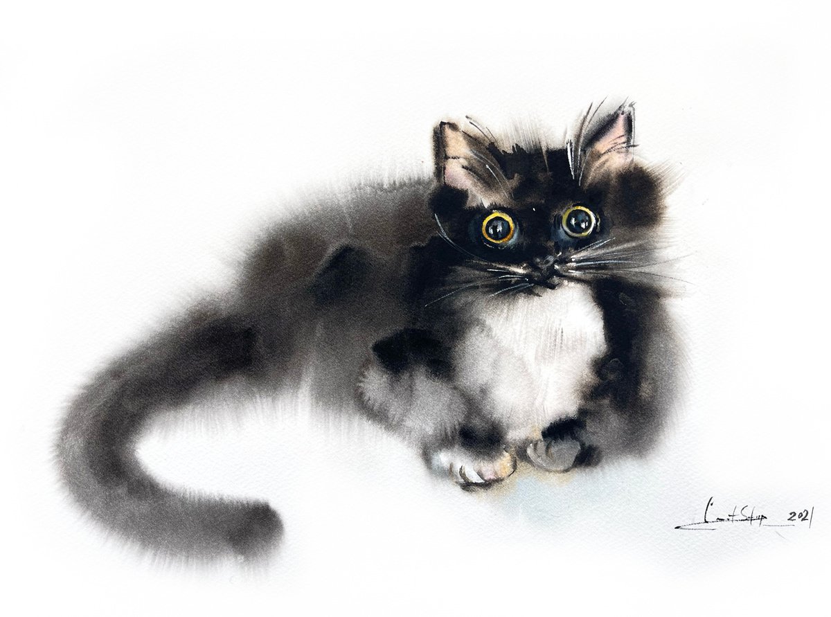 Black and White Cat by Sophie Rodionov