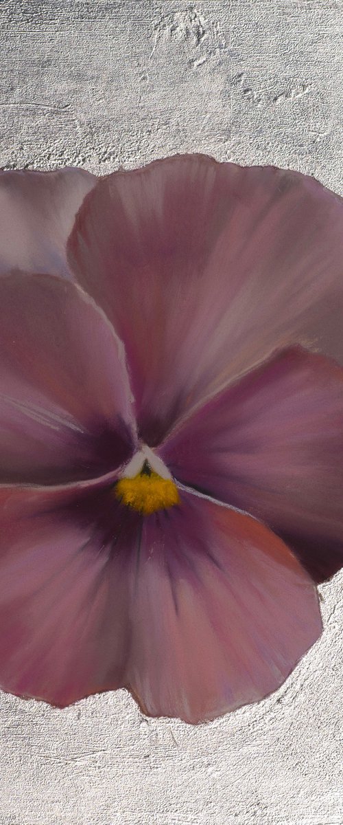 Pansy #12 by Oxana Babkina