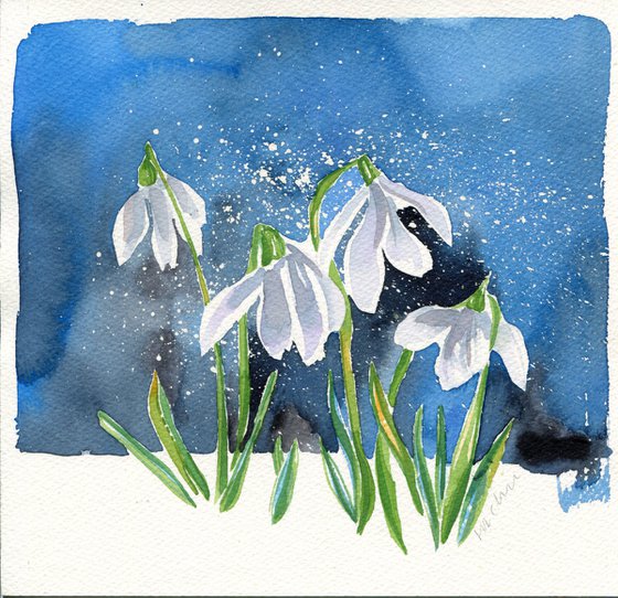 Snowdrops