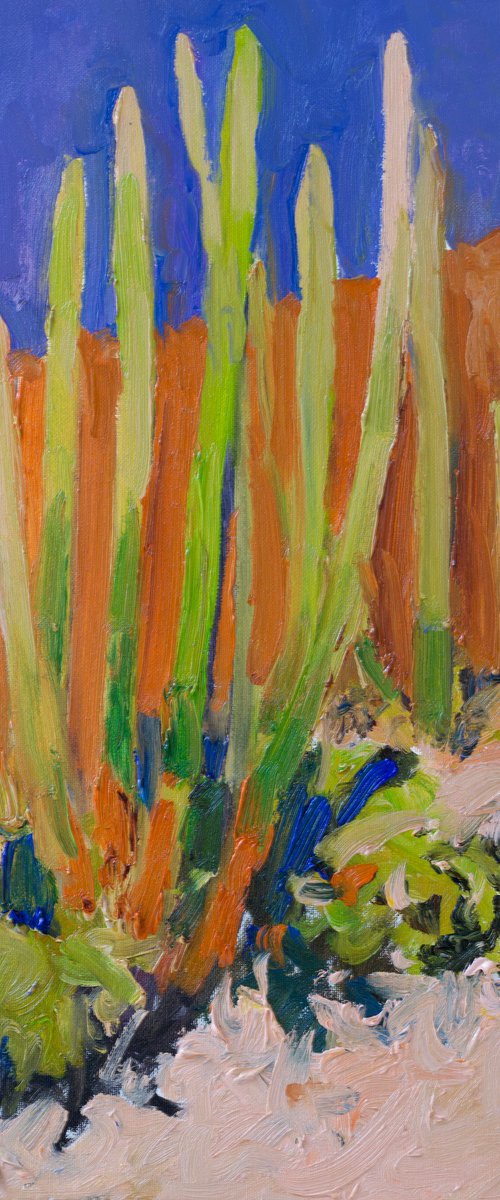 Cactuses in the Desert by Suren Nersisyan