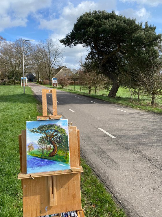 Old pine tree. Pleinair