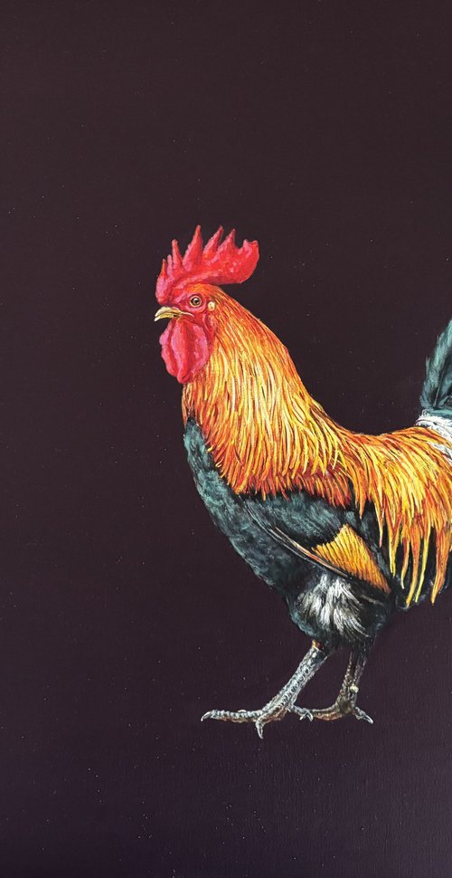 Lonely cock by Lena Smirnova
