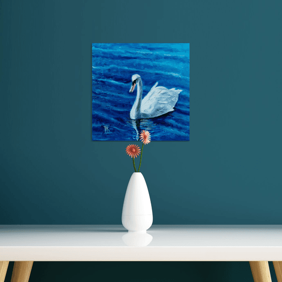 Swan and blue water