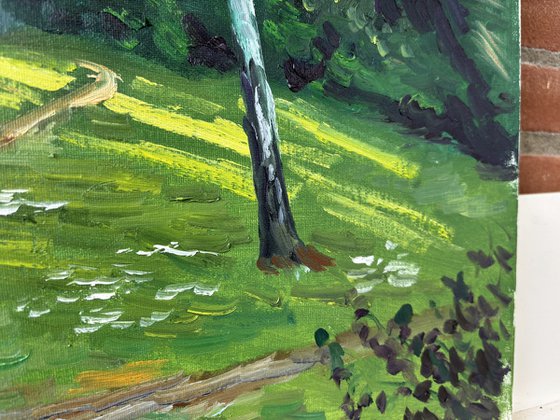 Evening Light on the Birch Tree