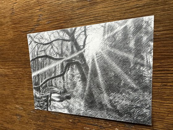 Beek-Ubbergen – 12-01-26