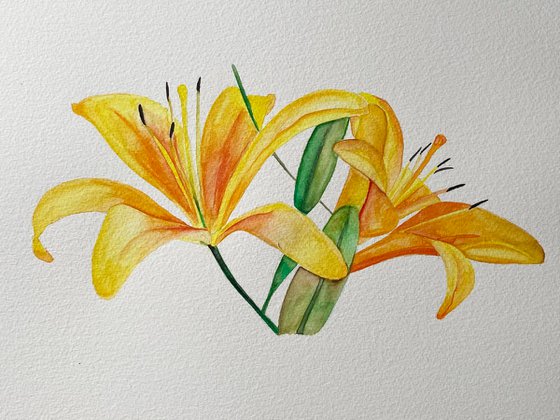 Lilies watercolour original painting