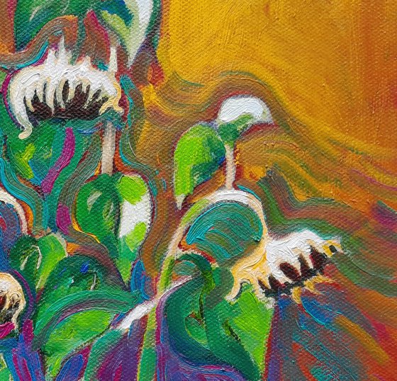 Sunflower Sunrise