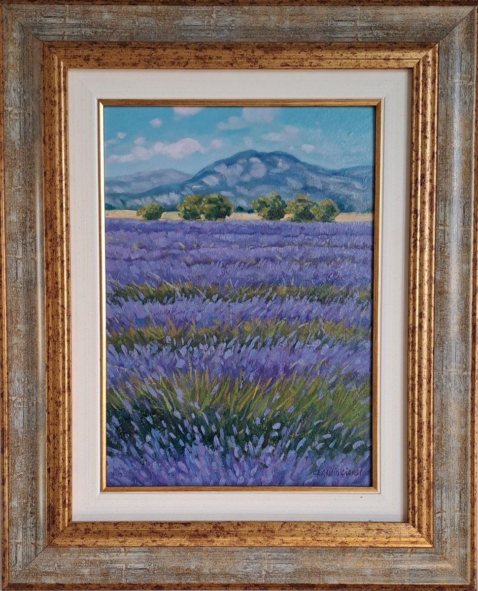 Impressionistic Botanical Oil Painting By Claudio Ciardi, 15 X 19, Lavande In Provence, Original Artwork