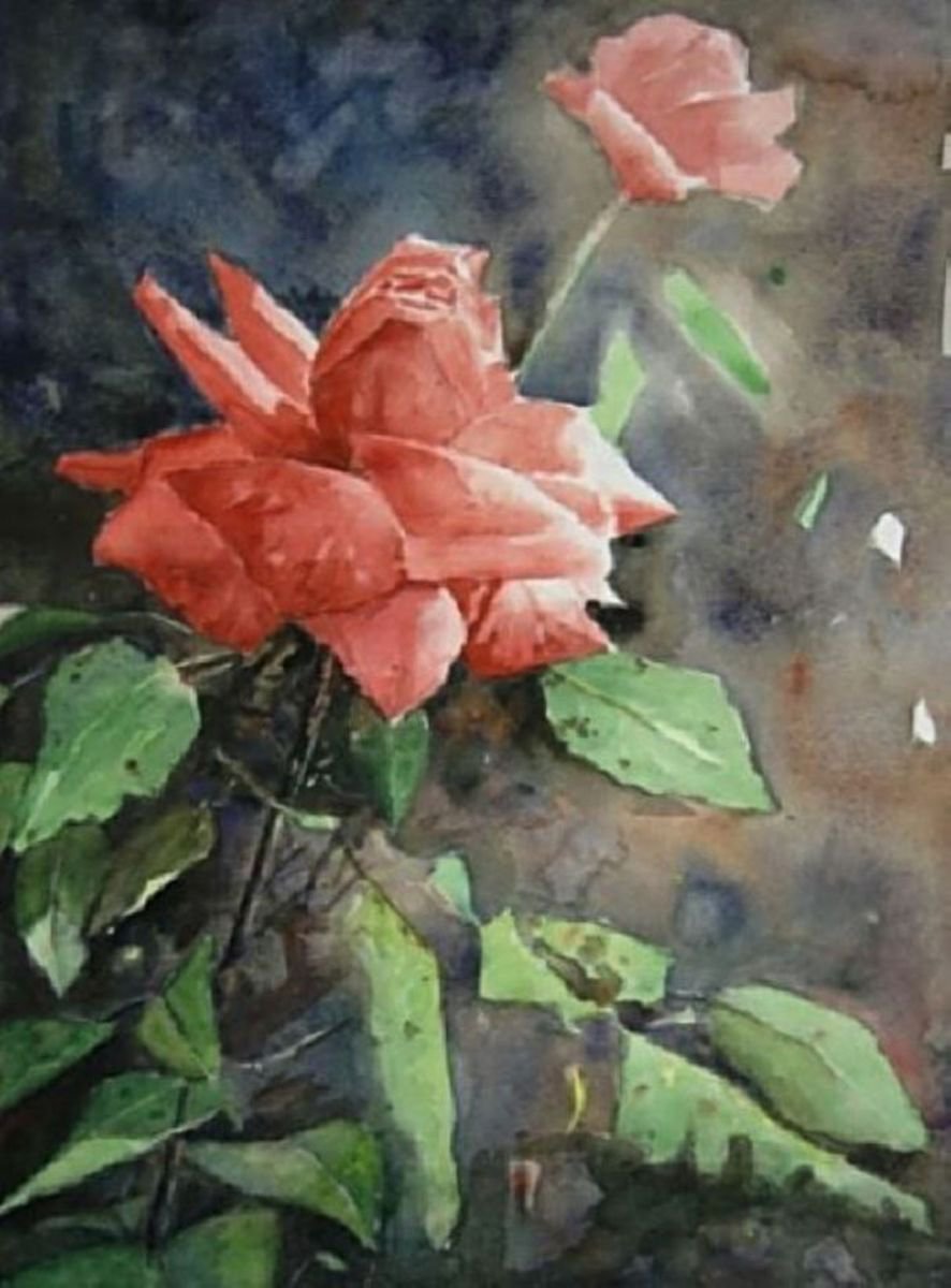 Red roses by Gerard Kramer