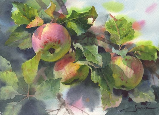 APPLES ON A BRANCH - still life watercolor painting on watercolour paper original decor for interior kitchen and dining room.