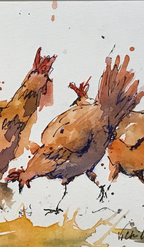 Busy Hens by Vicki Washbourne