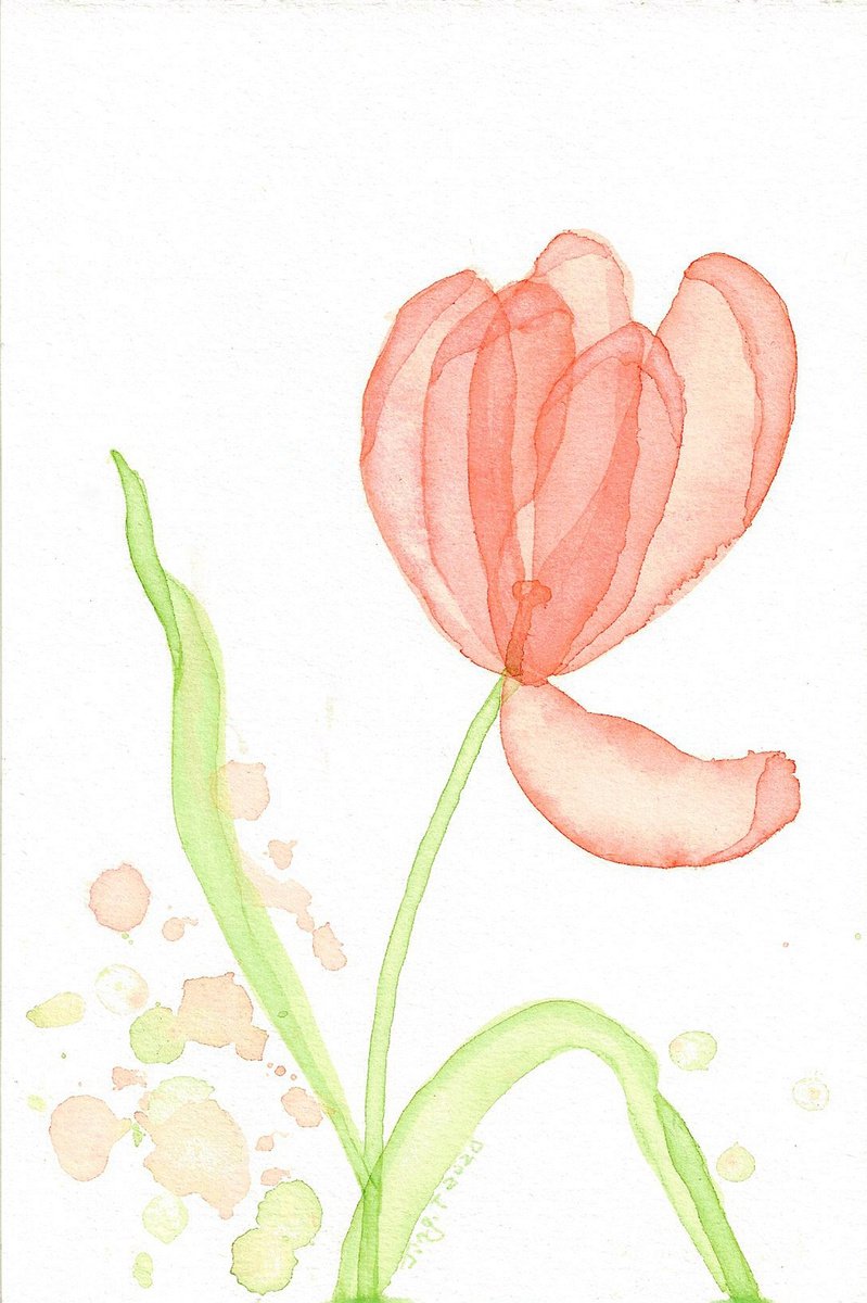 Soft petals#13 by Jing Tian