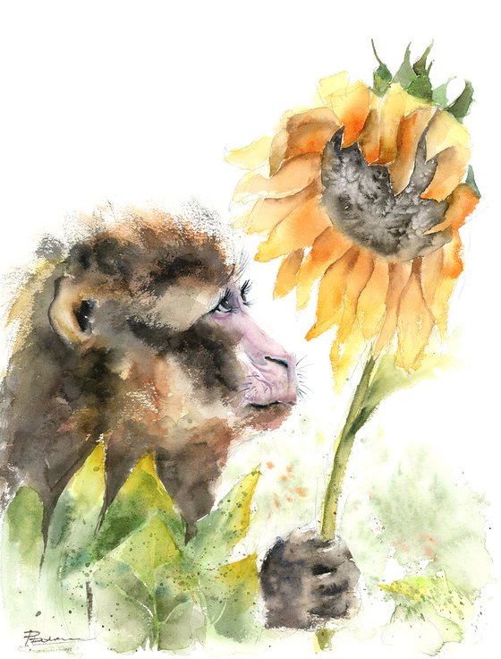 Monkey and Sunflower