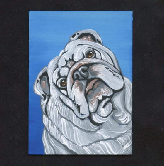 ACEO ATC Original Painting English Bulldog Pet Dog Art-Carla Smale