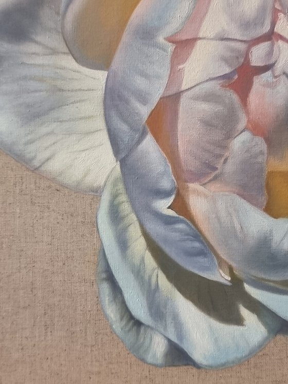 About tenderness in a duet