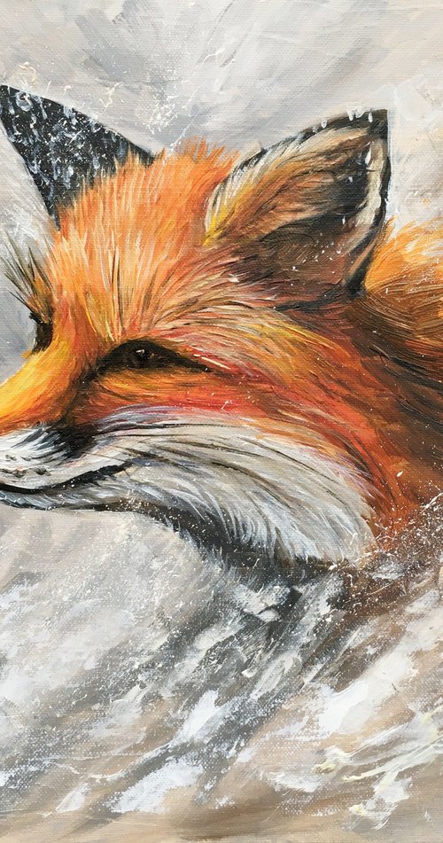 Winter fox 2 by Elena Sokolova