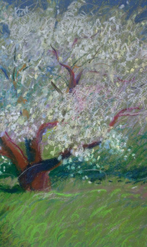 Apple tree by Inna Pantelemonova